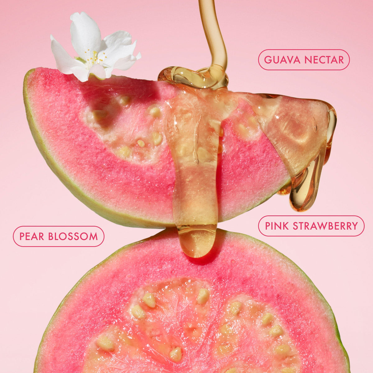 body-butter-balm-pink-guava-travel-size-k7 BodyButterBalmPinkGuava_3.jpg