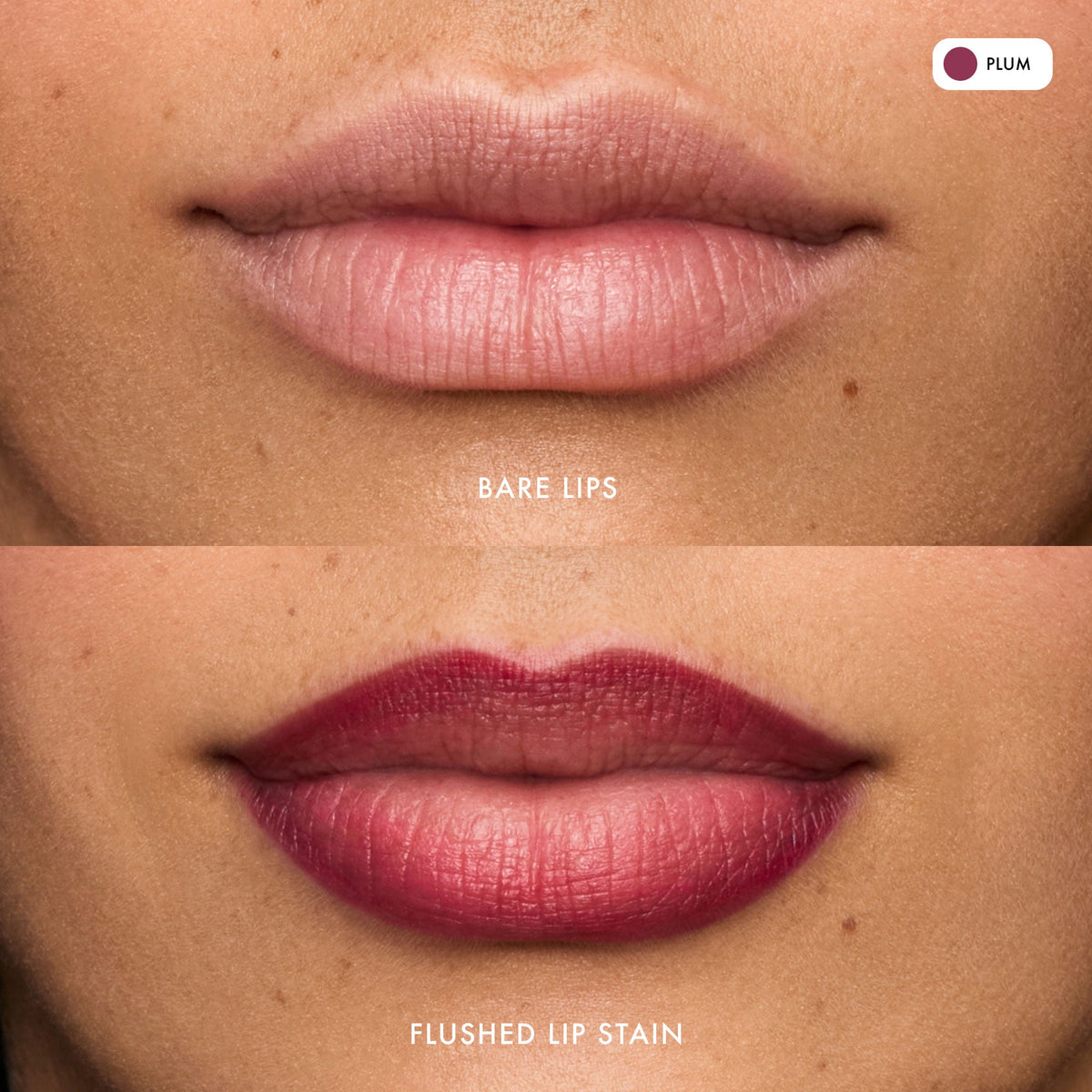 flushed-lip-stain-plum-p0 FlushedLipStain_Plum_B_A.jpg